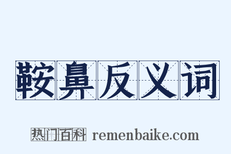 鞍鼻反义词是什么意思的图片